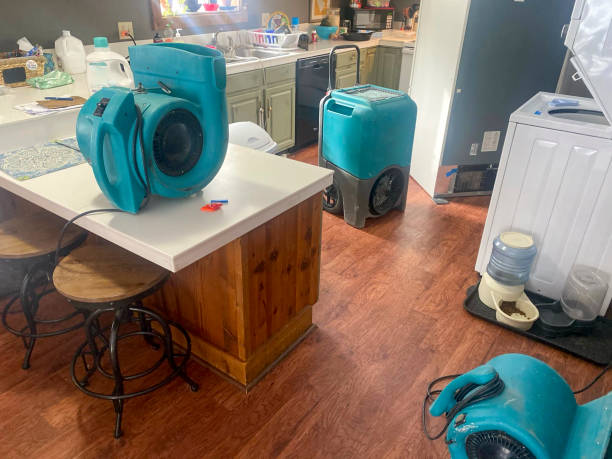 Best Carpet water damage restoration  in Salt Creek Commons, IN
