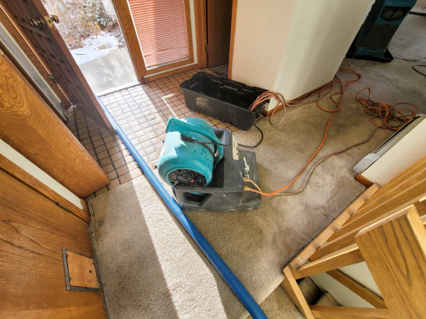 Best Water damage restoration near me  in Salt Creek Commons, IN