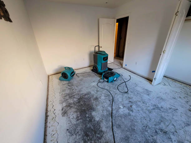 Best Residential water damage restoration  in Salt Creek Commons, IN