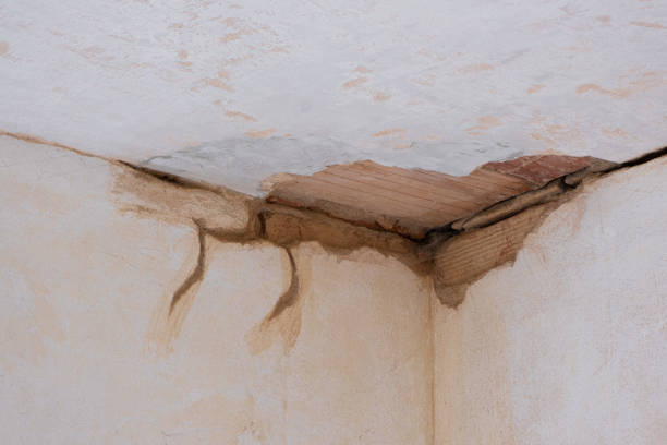 Best Professional water damage repair  in Salt Creek Commons, IN