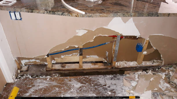 Best Water damage contractors near me  in Salt Creek Commons, IN