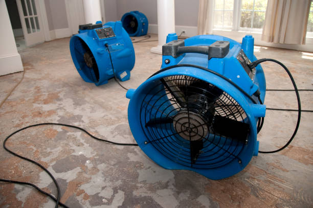 Best Flood restoration services  in Salt Creek Commons, IN