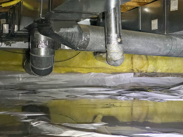 Best Water damage restoration specialists  in Salt Creek Commons, IN