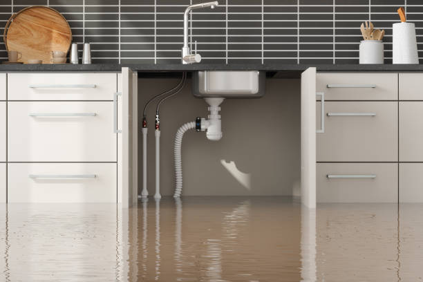 Best Flood damage cleanup  in Salt Creek Commons, IN