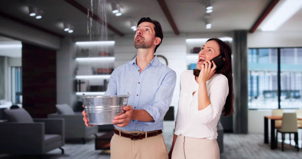 Best Basement water damage restoration  in Salt Creek Commons, IN