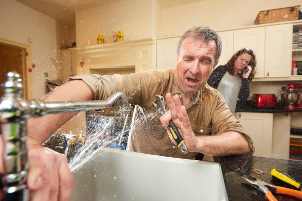 Best 24-hour water damage restoration  in Salt Creek Commons, IN
